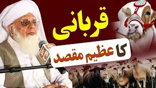 Qurbani Ka Azeem Maqsad | BY HAZRAT MAHBOOB SAEEN D.B.A