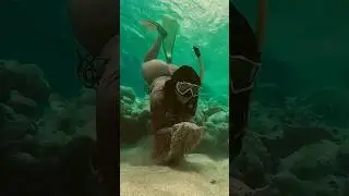 🤿 under water fun