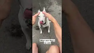 So cute 😡😡😡 