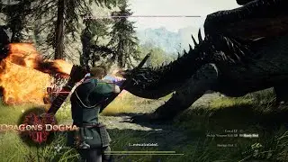 Dragon's Dogma 2 Easy Dragon Kill - PC Max Settings 4K 60FPS