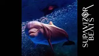 Alternative Bouncy Dance Music Type Beat - ''Dolphin Dance'' | Supavizor Beats