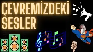 3.Sınıf Çevremizdeki Sesler | Fen Bilimleri