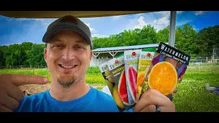 Melon Time! Planting Melons, Winter Squash, and Fig Trees