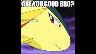 Excuse Me Mr. Rhyhorn?