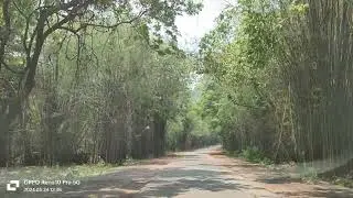 Nandyala to Srisailam Road
