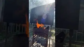 Копченые сазанчики собственного улова, что может быть лучше 🤌 