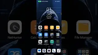 Go PATH Setup for tool install and direct execute from anywhere by Kali Nethunter