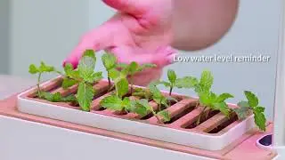 Desk Hydroponic Growing Led Lamp