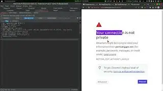 how to configure burp suite with any browser 