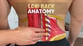 Lumbar (low back) Anatomy Lesson Made Simple
