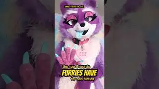 zee reacts to the top five words furries have for non-furries 