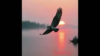 З М І С Т И