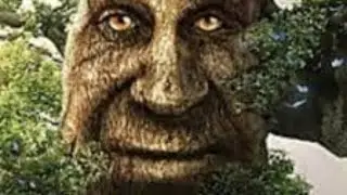 Wise Mystical Tree but Discord #mysticaltree #youtubeshorts