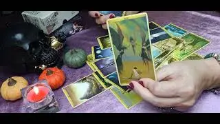 КАК ОНА 💥💔🐦‍⬛ НА ЭТО ПОВЕЛАСЬ?! КАК ОНА МОГЛА 💔💥🔮ТАК ПОСТУПИТЬ?!ТАРО РАСКЛАД ДЛЯ МУЖЧИН.+33602266229