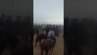 Кокпар