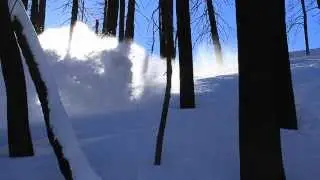 The Beaver Creek Fire