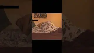 Girl farting in bed