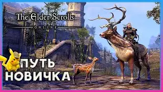 The Elder Scrolls online - TESO I Расследование в Вварденфеле #2