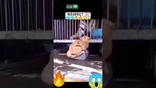 Respect 💯😱🔥 