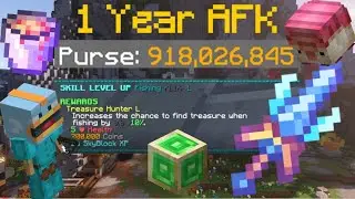 I Went AFK for a Year and Made Over 1 Billion Coins (Hypixel Skyblock)