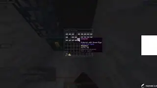 DonutSMP Dupe glitch Dupe ‼️UNPATCHED‼️