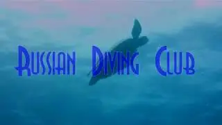 Четыре дня дайвинга // Дайвинг на Самуи // Diving Koh Tao// Часть 2
