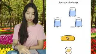 Brain Find Level 101 Eyesight challenge Walkthrough