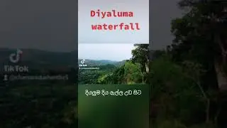 What a view from top of Diyaluma waterfall Sri Lanka