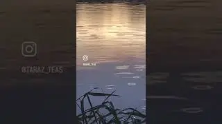 The River of Dreams