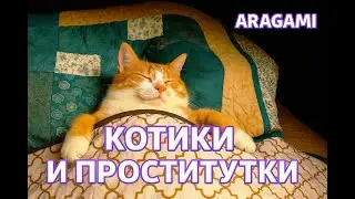 Котики и проститутки - ARAGAMI