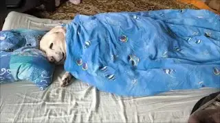 Нужно название?