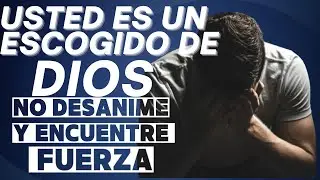¡Persista! Usted es un Escogido de Dios_ No Desanime y Encuentre Fuerza