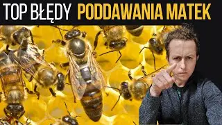 Największe błędy przy wymianie matek!