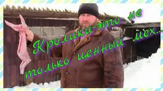 Забой кроликов.