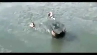 Японки в грязь.flv