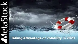 Taking Advantage of Volatility in 2023 - Vince Vora