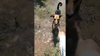 На прогулке в саду