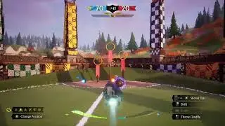 Harry Potter Quidditch Champions