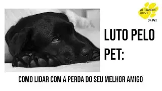 Luto pelo pet: como lidar com a perda do seu melhor amigo