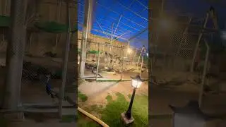 DHA | Multan 360 Zoo | Open For Public | Peacock’s & Birds #shortsvideo@zarmeendua324