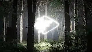 ✨Light In The Forest Logo
