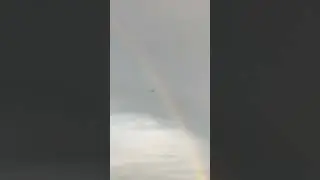 Dragonflies Flying by the Rainbow 🌈#shorts #rainbow #dragonflies #dragonfly