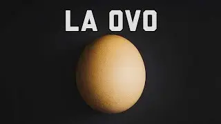 La Ovo