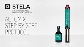 Stela Self-Cure Bulk Fill Flowable Restorative - Automix Syringe Instructions