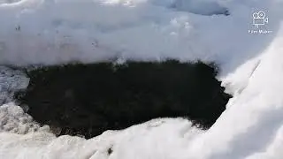 ПУТЬ К ШАЛАШУ