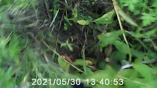 Рыбалка Ярославль волга