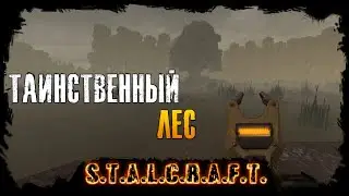 New S.T.A.L.C.R.A.F.T. - Тайны Леса.