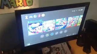 Could Not Start The Software | Nintendo Switch Error?