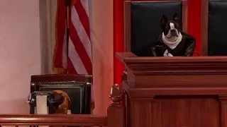 Murr v. Wisconsin: Oral Argument - March 20, 2017