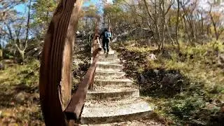 poiana golului RESITA stema